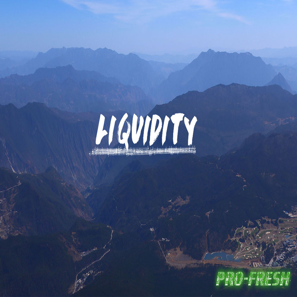 Liquidity