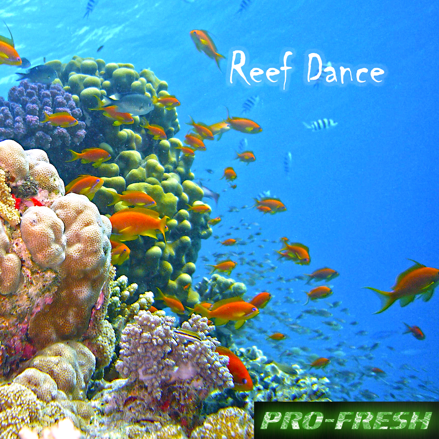 Reef Dance