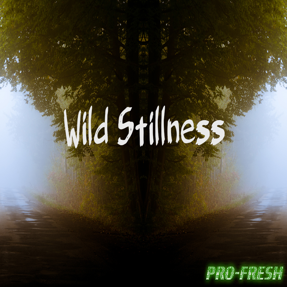 Wild Stillness
